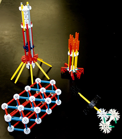 Progressive Education Biology Assignment